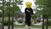Wu_Shock wsu wu wushock shockers GIF