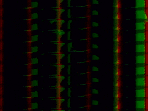 Video Art GIF by cskonopka