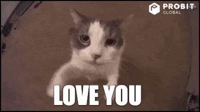 asudeasar giphyupload GIF