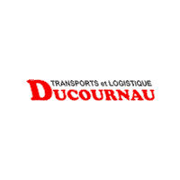 Flag Fret Sticker by DUCOURNAU