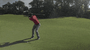 sport golfing GIF by Wilson Golf