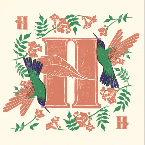 lisamaltbystudio giphyupload hummingbird animated birds animated bird GIF