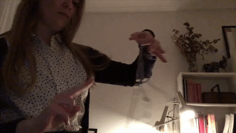 soleyfreyja giphygifmaker GIF