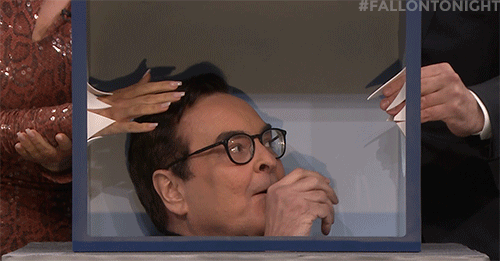 jimmy fallon no GIF by The Tonight Show Starring Jimmy Fallon