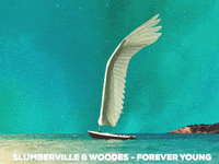 iamslumberville lofi foreveryoung slumberville woodes GIF