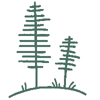 Tree Camping Sticker