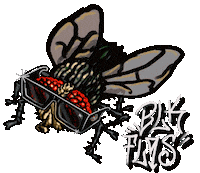 Sunglass Sticker by Black Flys