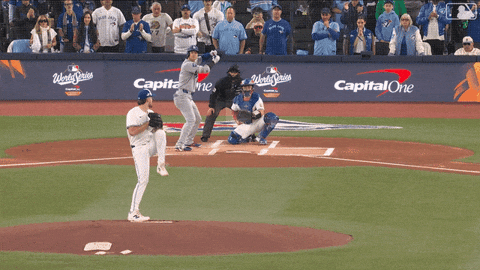 Blue Jays Baseball GIF by Toronto Blue Jays