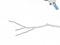 Bluebird GIF by Trevor Anderson