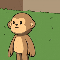 Oh No Lol GIF by Wise Monkey Meme