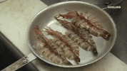 viceland GIF by F*CK, THAT'S DELICIOUS