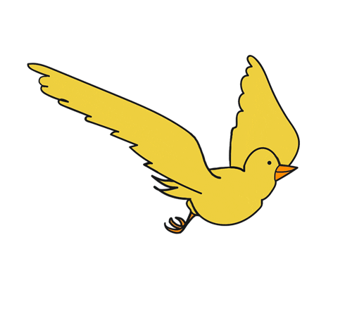 proteinpow giphyupload pow birdy proteinpow Sticker