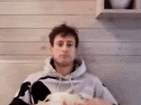 Shgif GIF by Studio Voisier