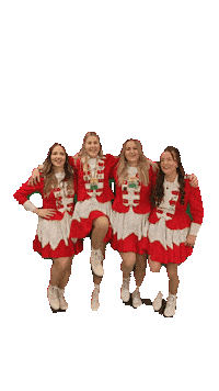 Carnaval Vastelaovend Sticker by De Huibuuke