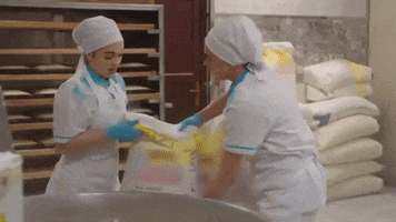 Kuzey Yıldızı Ilk Aşk GIF by Show TV