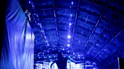 music festival dance GIF by Insomniac Events