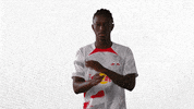 Football No GIF by RB Leipzig
