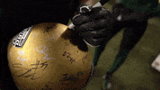 College Football GIF by Ohio Bobcats