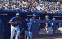 Run Out Blue Jays GIF by Toronto Blue Jays