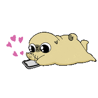 Valentines Day Love Sticker by 157ofgemma