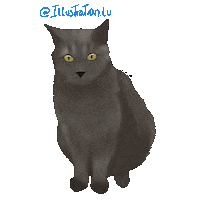 Chat Gatos Sticker