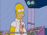 homer simpson GIF