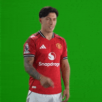 Point Pointing GIF by Manchester United