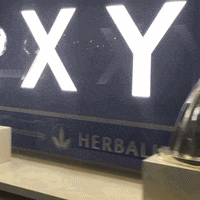 lavhou GIF by LA Galaxy