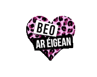 Bae Rte Sticker by Beo ar Éigean