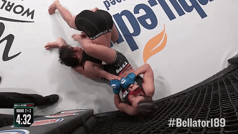 submission mma GIF by Bellator