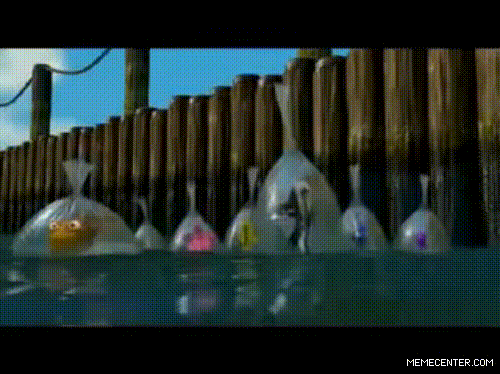 college home GIF