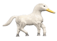 Gallop Sticker by Secret Dreams