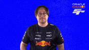 Red Bull Sr GIF by Oracle Red Bull Racing