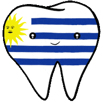 Flag Smile Sticker