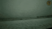 Scared On My Way GIF by 60 Second Docs