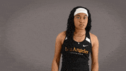 Cal State La Track GIF by Cal State LA Golden Eagles