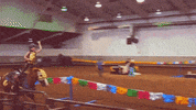 okstatefair ok horse kid riding GIF