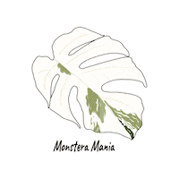 Plant Sticker by Monstera Mania
