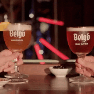 Belgo giphyupload drink beer cheer GIF
