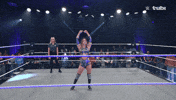 Wwe Wrestling GIF by Tubi