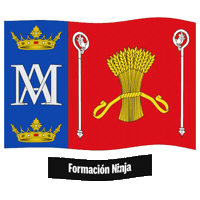Castilla Y Leon Flag Sticker by Formación Ninja
