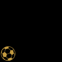 Football Celebrate GIF by KleinerSpatzWesterstetten