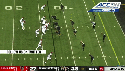 therealessad giphygifgrabber touchdown td nc state GIF