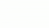 TotalEnergiesDZ football foot chan algeria GIF