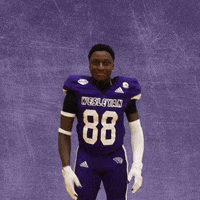 Football Wesleyan GIF by KWC Panthers