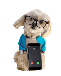 dog phone Sticker by MISO PUP