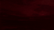 Afas Stadion Goal GIF by AZ Alkmaar