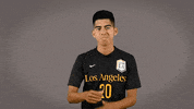 Division Ii Soccer GIF by Cal State LA Golden Eagles