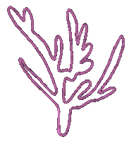 Shape Moving Sticker