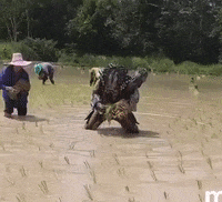 justviralnet funny movie hilarious just viral GIF